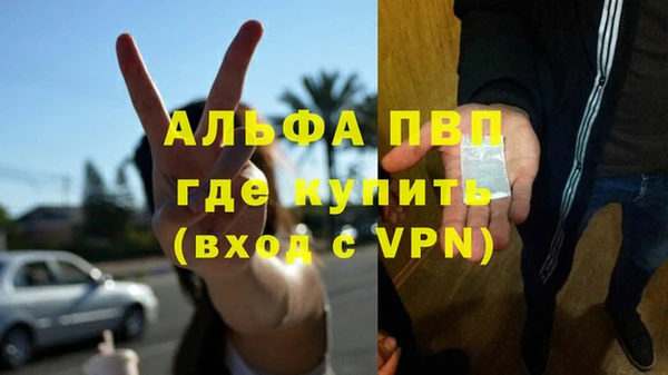 шишки Армянск