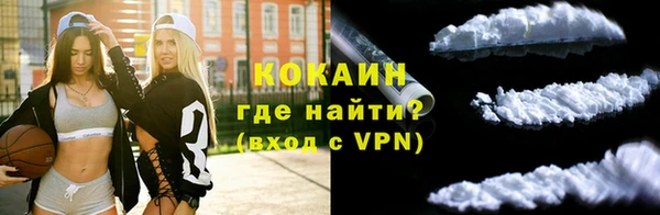 шишки Армянск