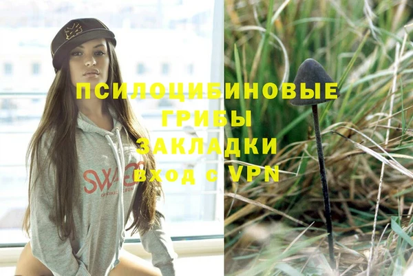шишки Армянск