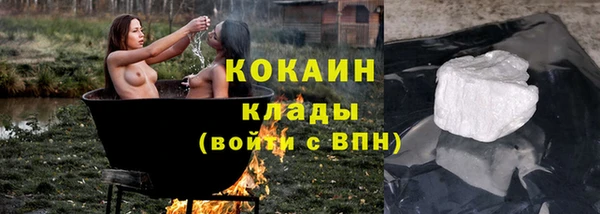 шишки Армянск