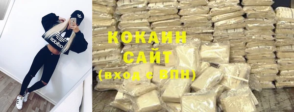 шишки Армянск