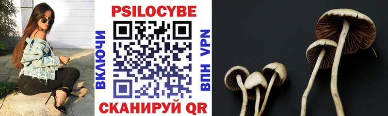 Псилоцибиновые грибы Psilocybe  купить наркотик  Сураж 